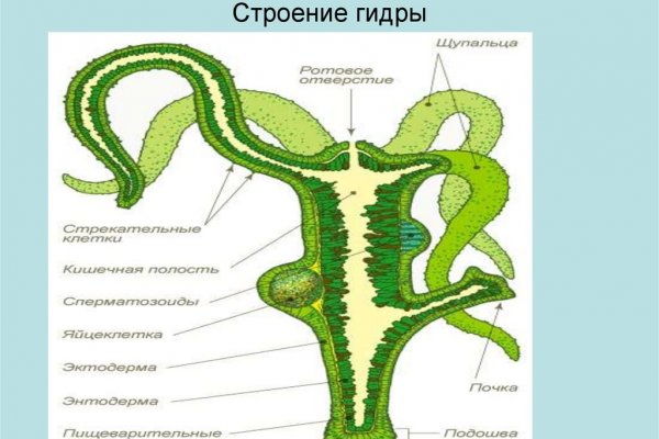 Кракен что можно купить