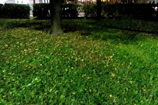 Кракен 16 at